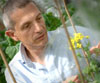 Crop breeding
