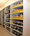 Seed storage