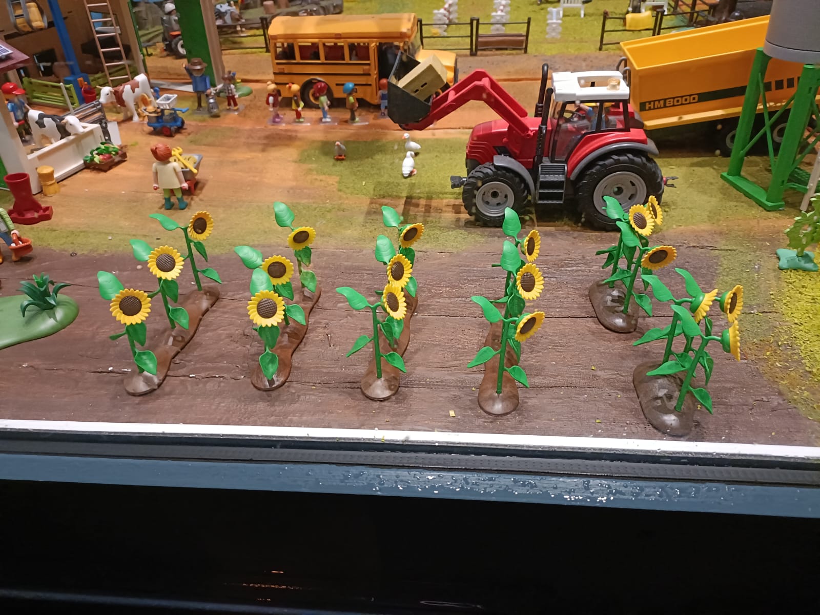 Model Sunflower in shop window in France