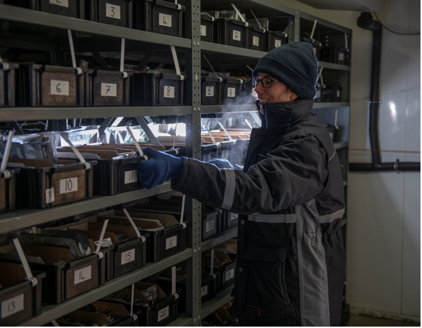 Charlotte Allender in the large walk-in freezer of the GRU that holds all the seed accessions