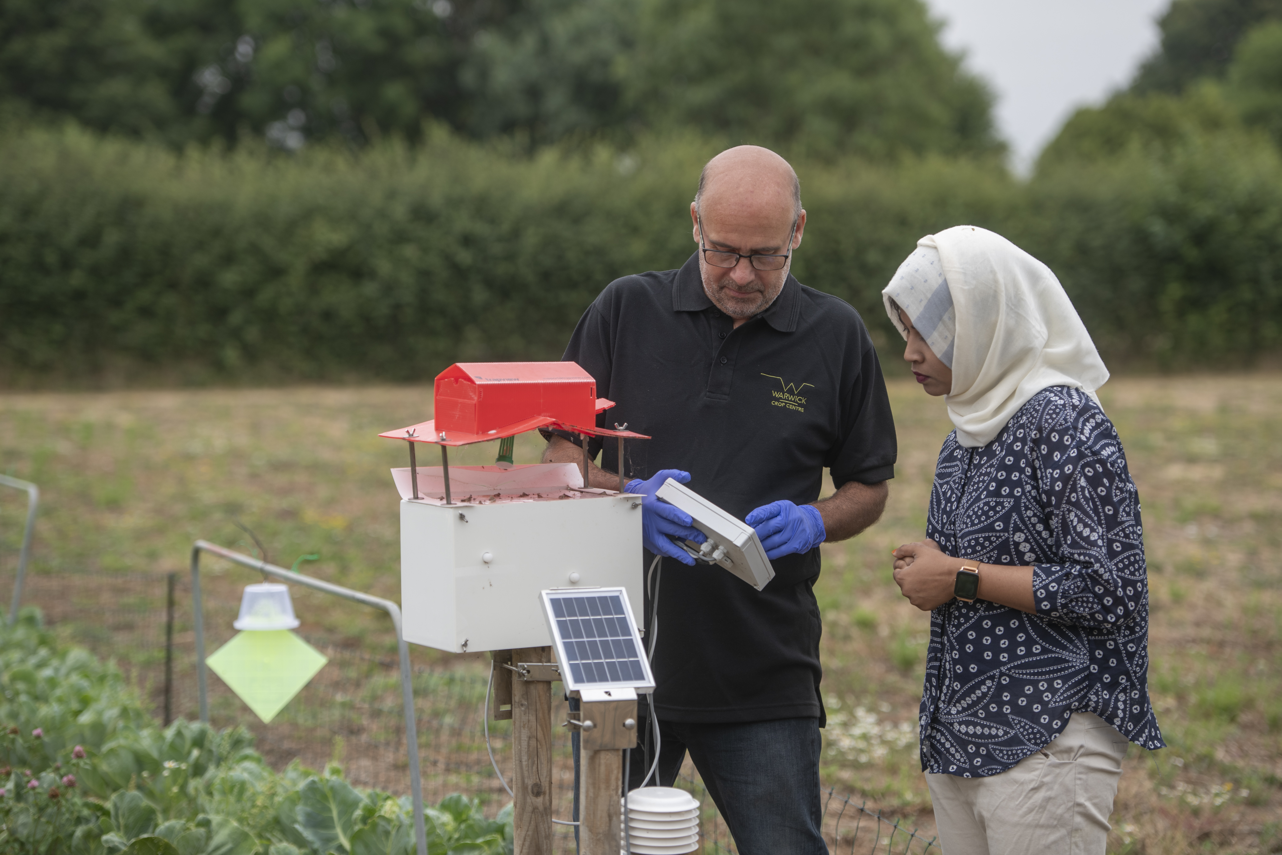 Researchers assessing smart insect monitors