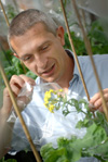 Dr Graham Teakle with brassicas