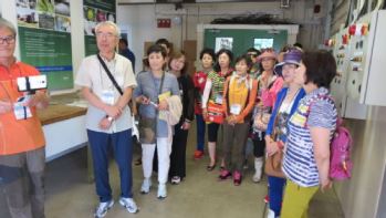 Korean Visitors