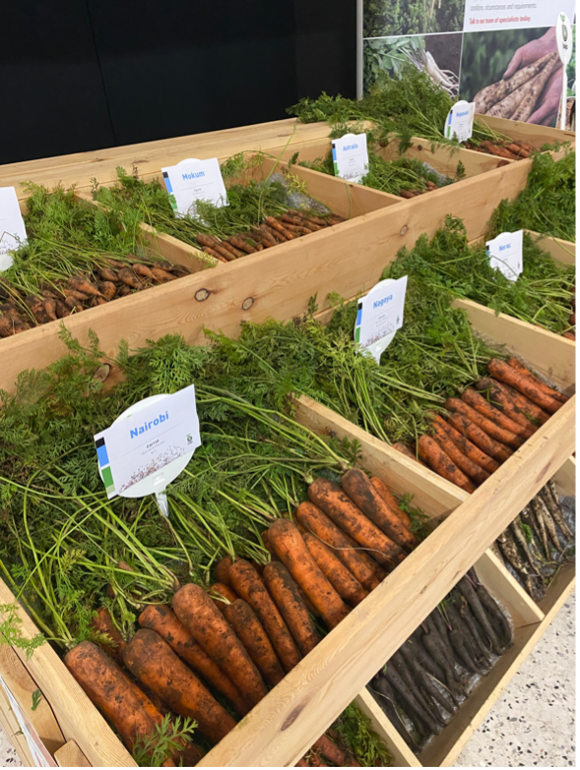 carrot varieties on display at carrot conference