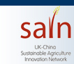 SAIN Logo