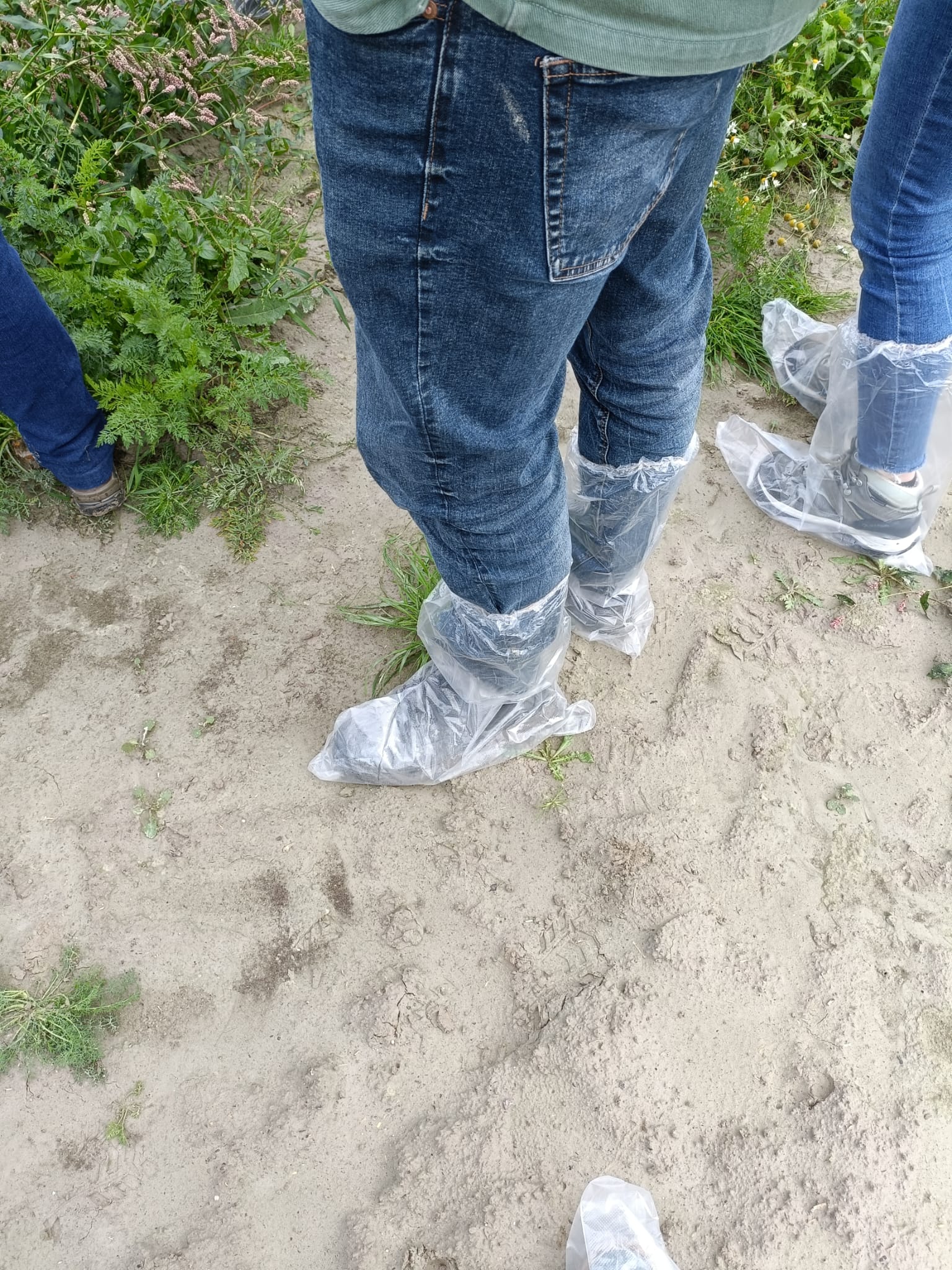 In field excursion wearing disposable shoe coverings