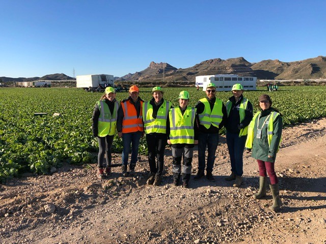 Emily Tuner and G's Team in lettuce field in Spain