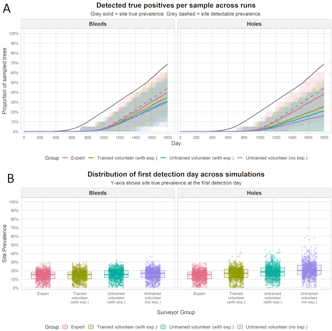 Figure 2. Graph outputs from simulation where 1 surveyor inspected 20 trees every 30 days for 1800 days. (A) Detected true positives across 1800 days per sample across runs for bleeds and holes. Grey solid line is the site true prevalence, and grey dashed line is site detectable prevalence. 