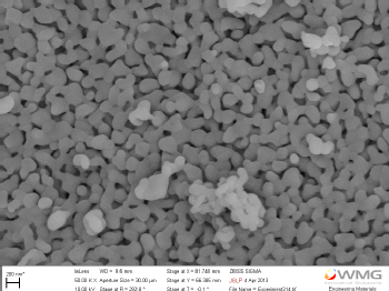 SEM of beta-TCP produced by albumin-mediated synthesis