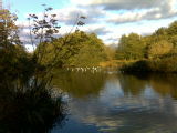 Warwick1