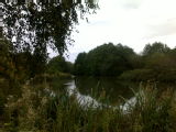 Warwick2