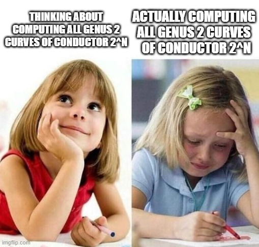 Thinking about computing all genus 2 curves of conductor 2^n vs actually computing all genus 2 curves of conductor 2^n
