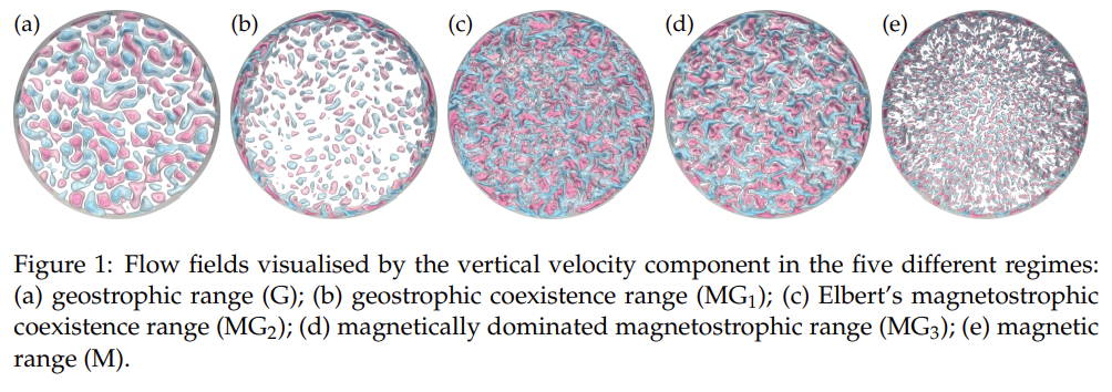 Flow fields visualised by the vertical velocity component in the five different regimes.