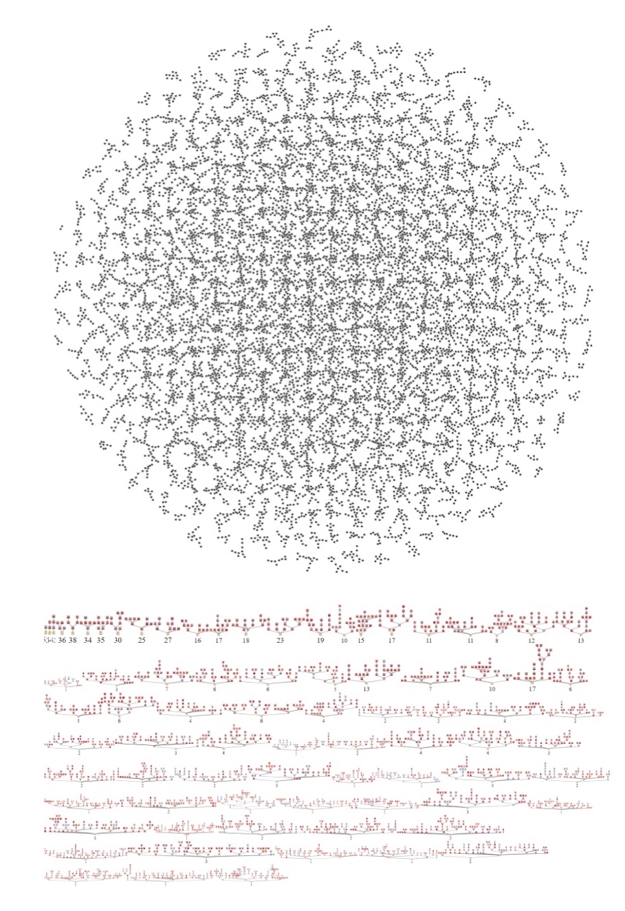 Contract tracing visualisation