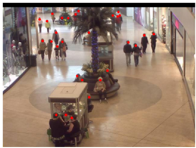 Ground-truth annotations of an image from mall
