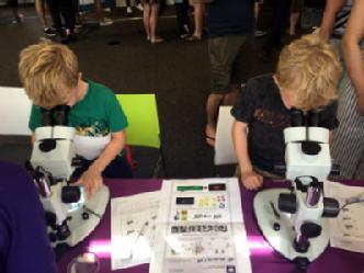 Children looking down microscope