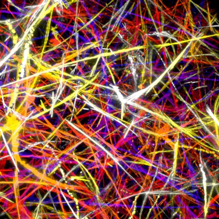 image 9 highways to cell