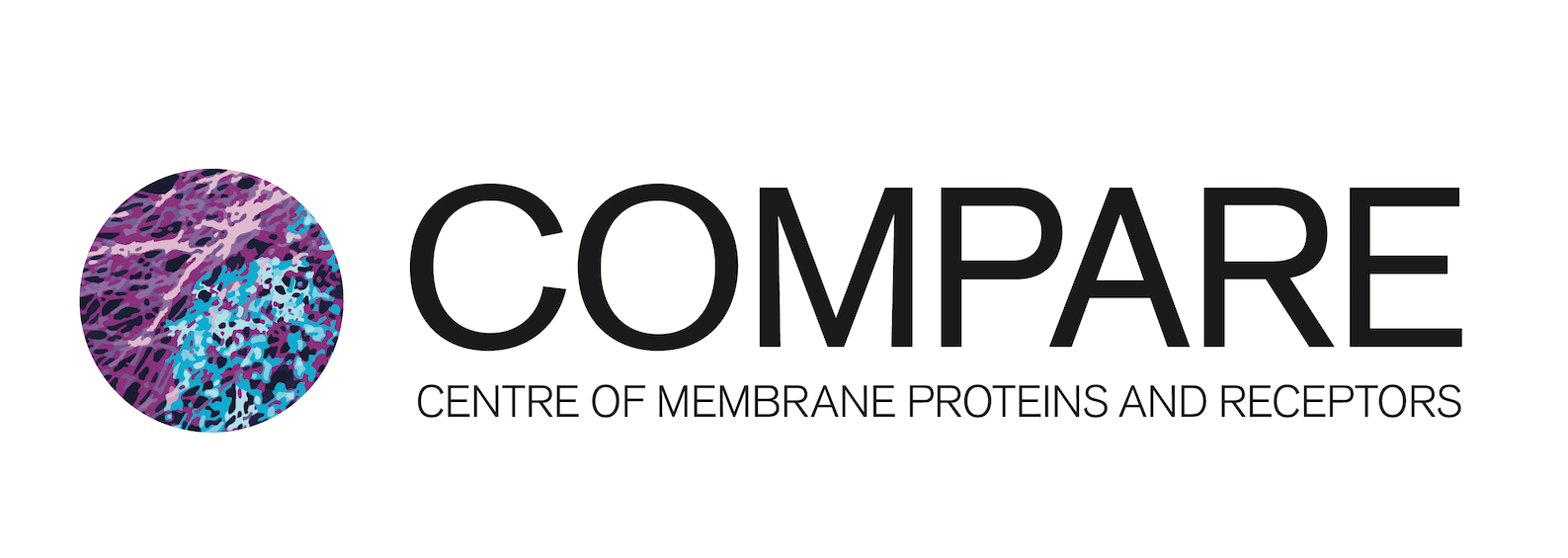 COMPARE Logo