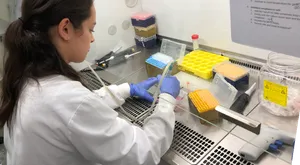 Rachel in cell culture