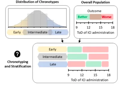 graphical abstract