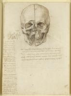 A skull sectioned, 1489. Royal Collection Trust © 2012, Her Majesty Queen Elizabeth II