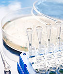 vials in front of petri dish