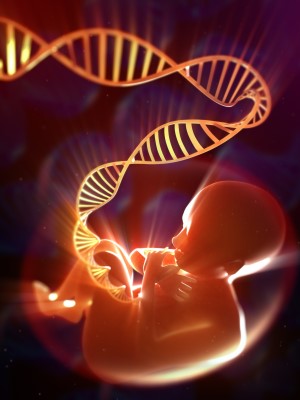 baby and dna