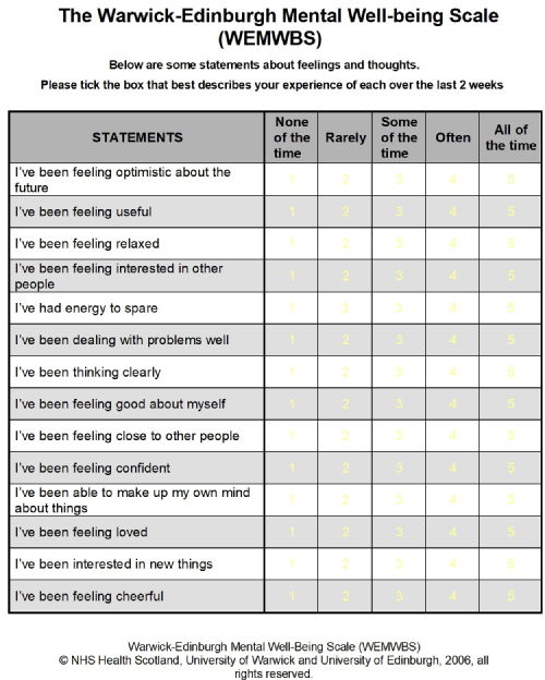 WEMWBS 14-item scale example survey