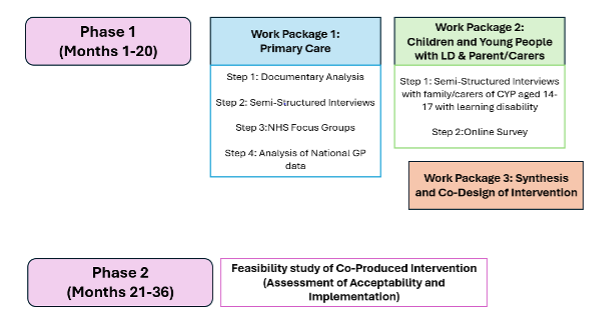 Image outlining the phases of the project