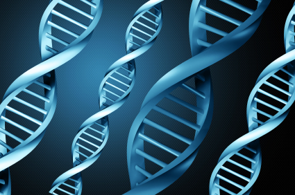 DNA strands