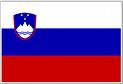 Slovenia flag
