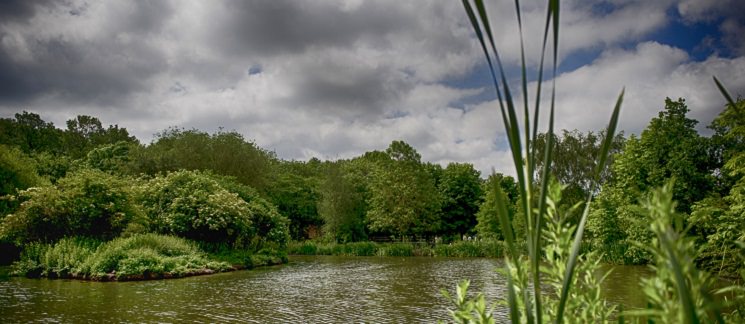 campus