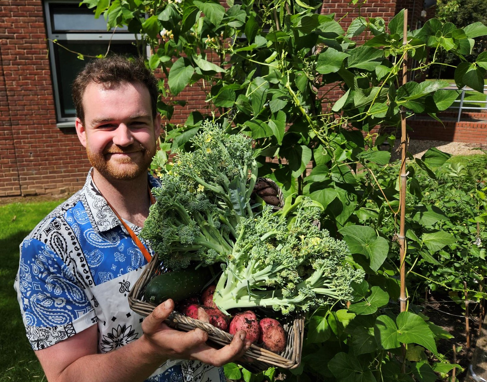 a person holding a basket of vegetables