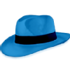 bluehat.png