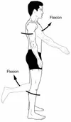 Flexion