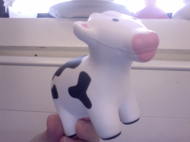 not chemistry but a cow