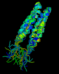 [PDB 1JOY Protein Structure (aligned models)]