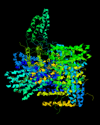 [PDB 1JOY Protein Structure (unaligned  models)]
