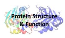 protein_structure2.jpg