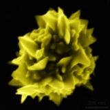 a_gold_nanoparticle.jpg