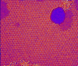 Electronic microscopy image of graphene growth on copper