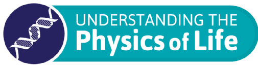 Physics of Life Network Logo