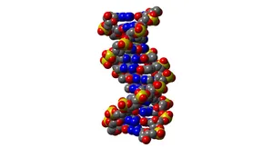dna_image.jpg
