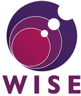 Wsie logo