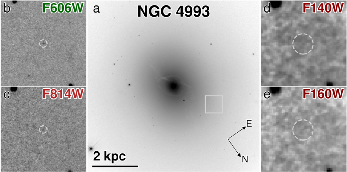 Late time HST detection of GW170817