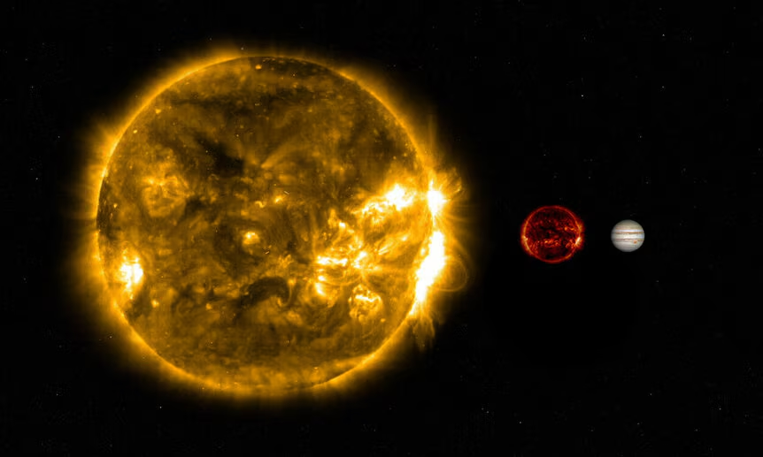 The Sun, Wolf 359 and Jupiter to scale. Credit: NASA's Goddard Space Flight Center / NASA, ESA, and A. Simon (GSFC) / Phil Plait. source: https://www.syfy.com/syfy-wire/star-trek-vs-red-dwarf-the-battle-of-wolf-359