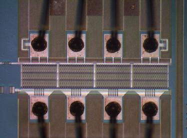 Microchip under optical microscope