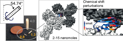 SSNMR of a protein in a precipitated complex with a full-length antibody