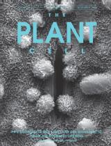 The Plant Cell cover