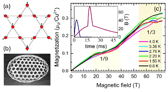 Magnetization data  of kagome lattice